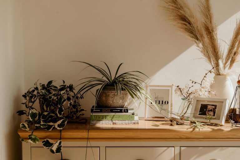 Elevate Your Home Aesthetics with Luxe Corner Finds